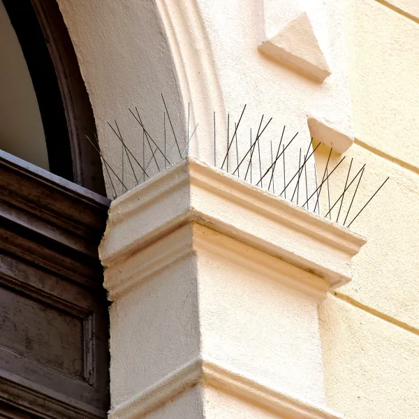 Spikes